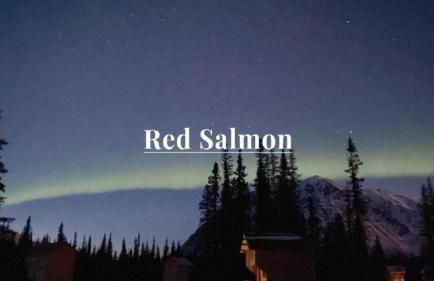 Secluded, Pet Friendly Cabin near Denali National Park with Mountain and Lake Views, Perfect for an Alaskan Escape - Foto 10