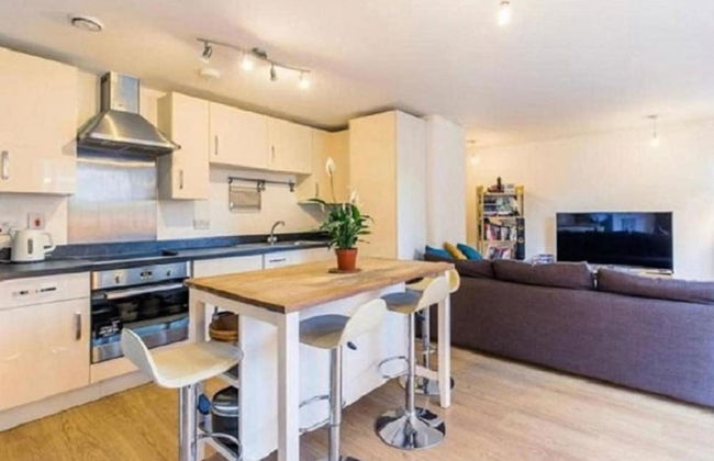 Bow Stays by Stay Guru - Foto 4