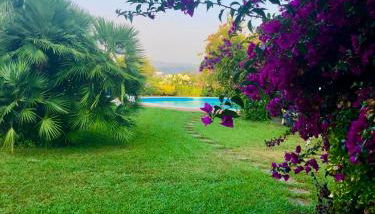 Villa Agostina - Photo 2, Garden