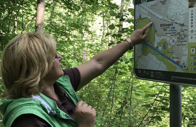 Holiday home with sauna and garden lounge - Foto 37