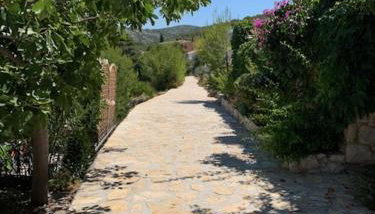 Apartments Bilo - Jela & Ivan - Foto 5