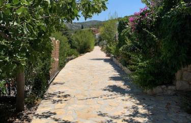 Apartments Bilo - Jela & Ivan - Foto 5