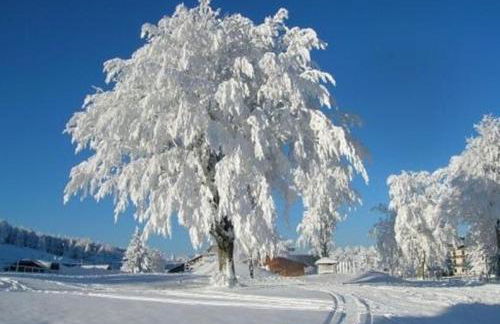 Appartamenti Dolomiti - Foto 15