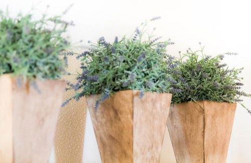 Coreto's Village - Foto 55