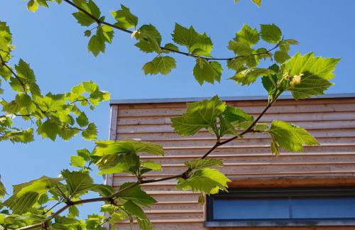 ElbQuartier Apartments Magdeburg 'Die Stadtoase' - Foto 19