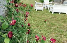 Casa Vacanze Mari, Paratico - Foto 34