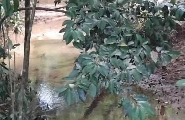 Campo e mar Bertioga - Foto 23