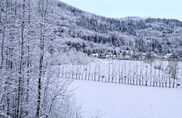 Apartamenty Chilldziówka w Miłkowie z sauną i z grillem Karpacz - Foto 4