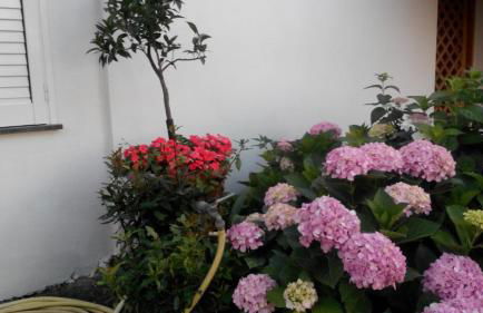 Villetta Baia San Montano - Foto 29