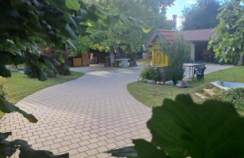 Paun - Photo 22
