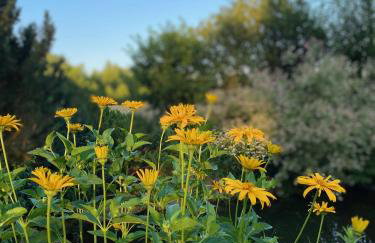 Biały Domek nad Wkrą - Foto 5