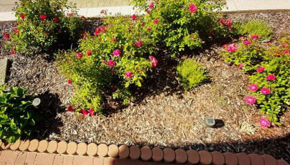 Ferienwohnung Unterm Schloss bei Inge - Foto 3, Garden, Garden view