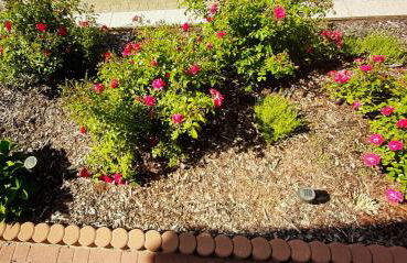 Ferienwohnung Unterm Schloss bei Inge - Foto 3