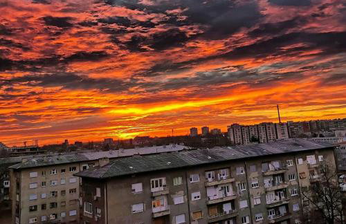 Casa Trussardi De Luxe - Photo 12