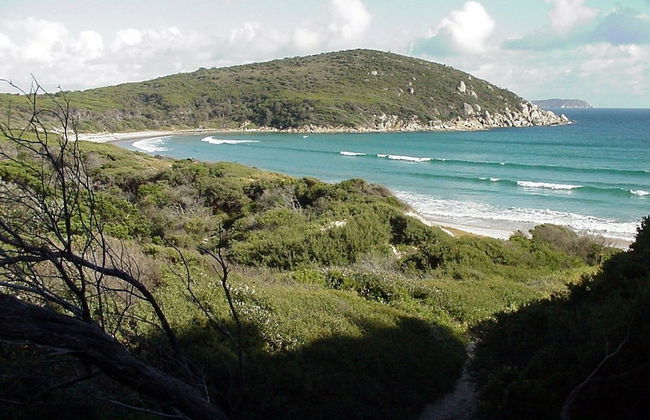 Sandy Point Beach Escape - Photo 29
