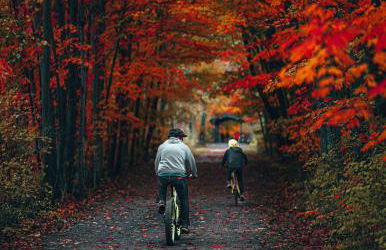 Spacious Dog-Friendly Getaway with Year-Round Pool & Hot Tub - Foto 73