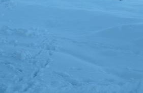 Apartman Djak - Foto 2