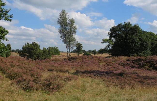 Tranquil Stay in Drenthe - Photo 27
