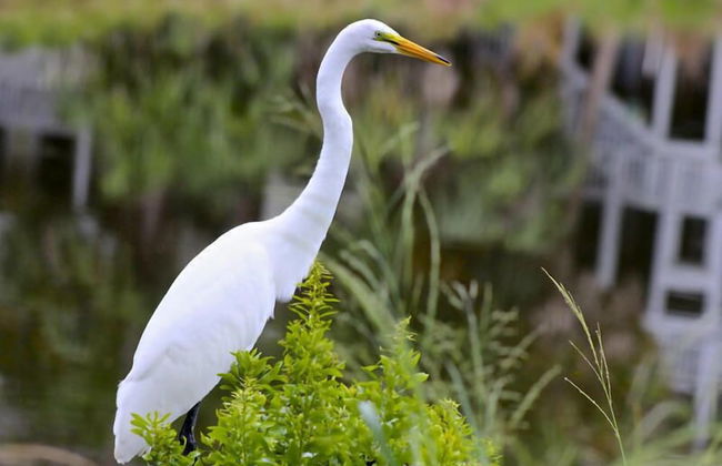 721 Sea Dragon Ln - Foto 43