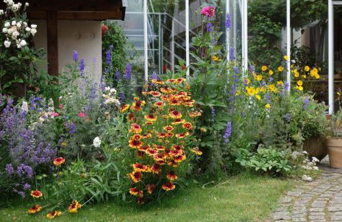 Traumblick Rebenmeer - Foto 8