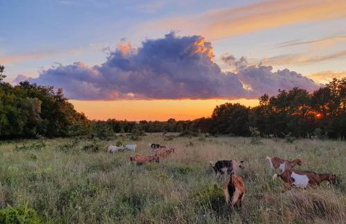 Apartments Kero NEW value 2023 fully AC - Foto 33