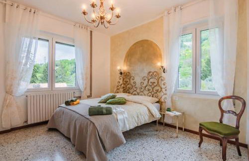 All Ulivo - Photo 11