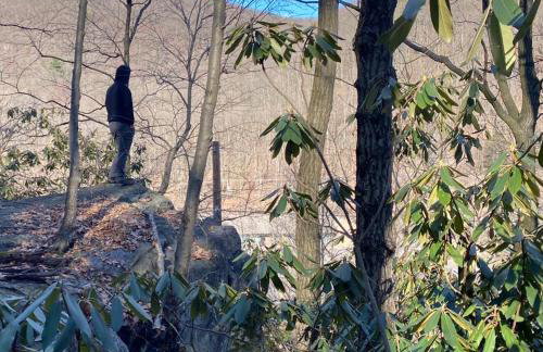 Historic Sears River Home (Main Level) on 10 Acres - Foto 38