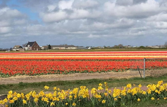 Lovely Home in Noordwijkerhout near Sea Beach - Foto 30