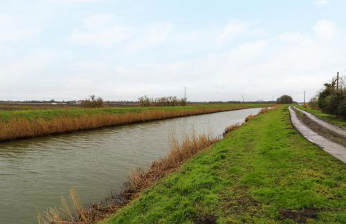 Kingfisher - Foto 26