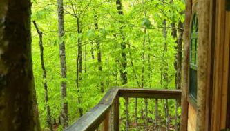 Maine Woods Treehouse-The Birdie - Foto 5