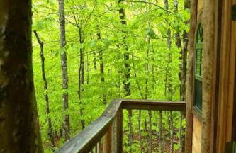 Maine Woods Treehouse-The Birdie - Foto 5