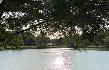 Le gîte de Delphine - Photo 8