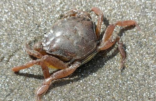 299 Willow Lodge - Foto 49