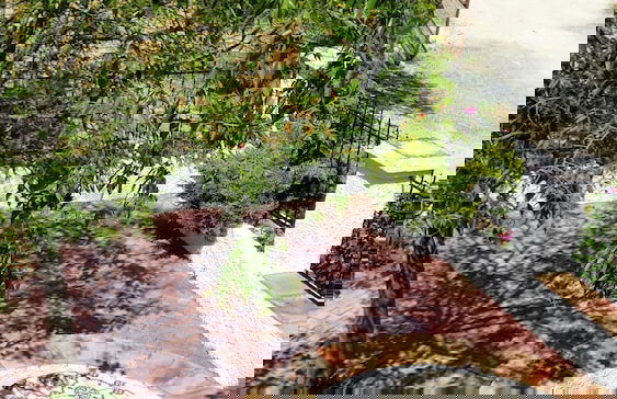 Alojamiento rural El Cortijuelo - Foto 72