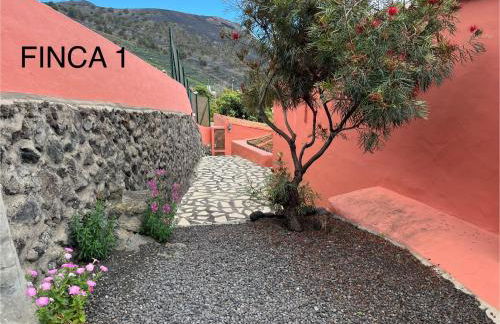 Finca La Calzada - Foto 11