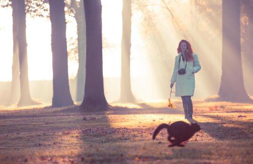 Pałac Brunów - Wellness & SPA - Foto 63