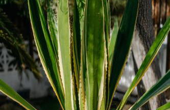 Casa con jardin para familias y grupos - Foto 26