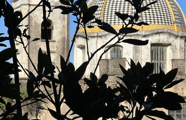 Accademia 39 - Foto 64