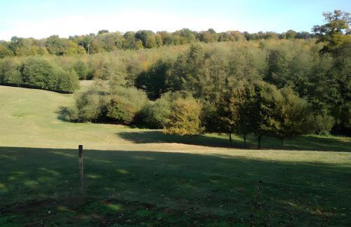 A l oree du bois - Foto 14