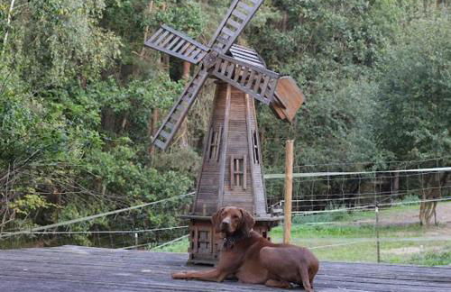 Heimerlmühle - Foto 19