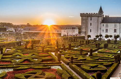 Ma première étoile - Foto 21