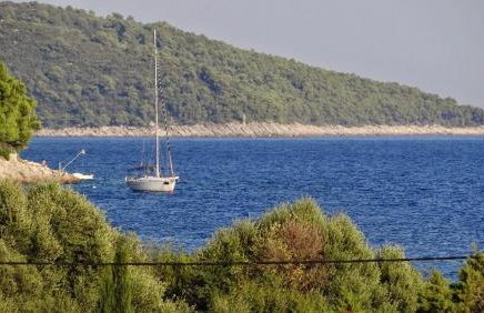 Apartments by the sea Prizba, Korcula - 14385 - Foto 28