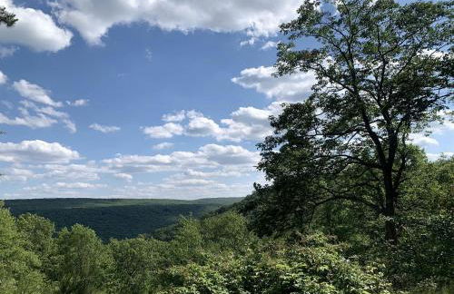 Gorgeous Cottage for Two, Overlooking Pond on 20 acres, Glamping in Pennsylvania - Foto 62