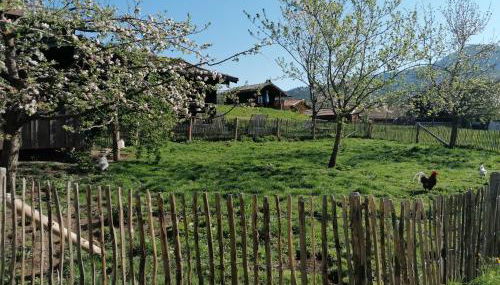 Matheishof inkl. Chiemgaukarte - Foto 5