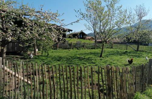 Matheishof inkl. Chiemgaukarte - Foto 5