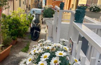 Ninni Mondello House - Photo 76