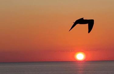 Romantic Beachfront Sunsets - Foto 1