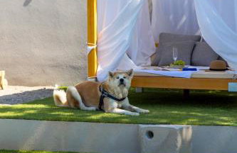 Villa Mirjam with swimming pool, jacuzzi and sea view - Foto 11