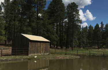 Grand Canyon 1bd Loft at Historic Wrigley Ranch-Suite with Horseback Riding, Hiking - Foto 13