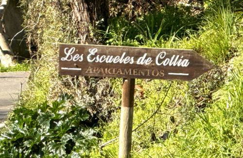 Escuelas de collía A - Photo 2